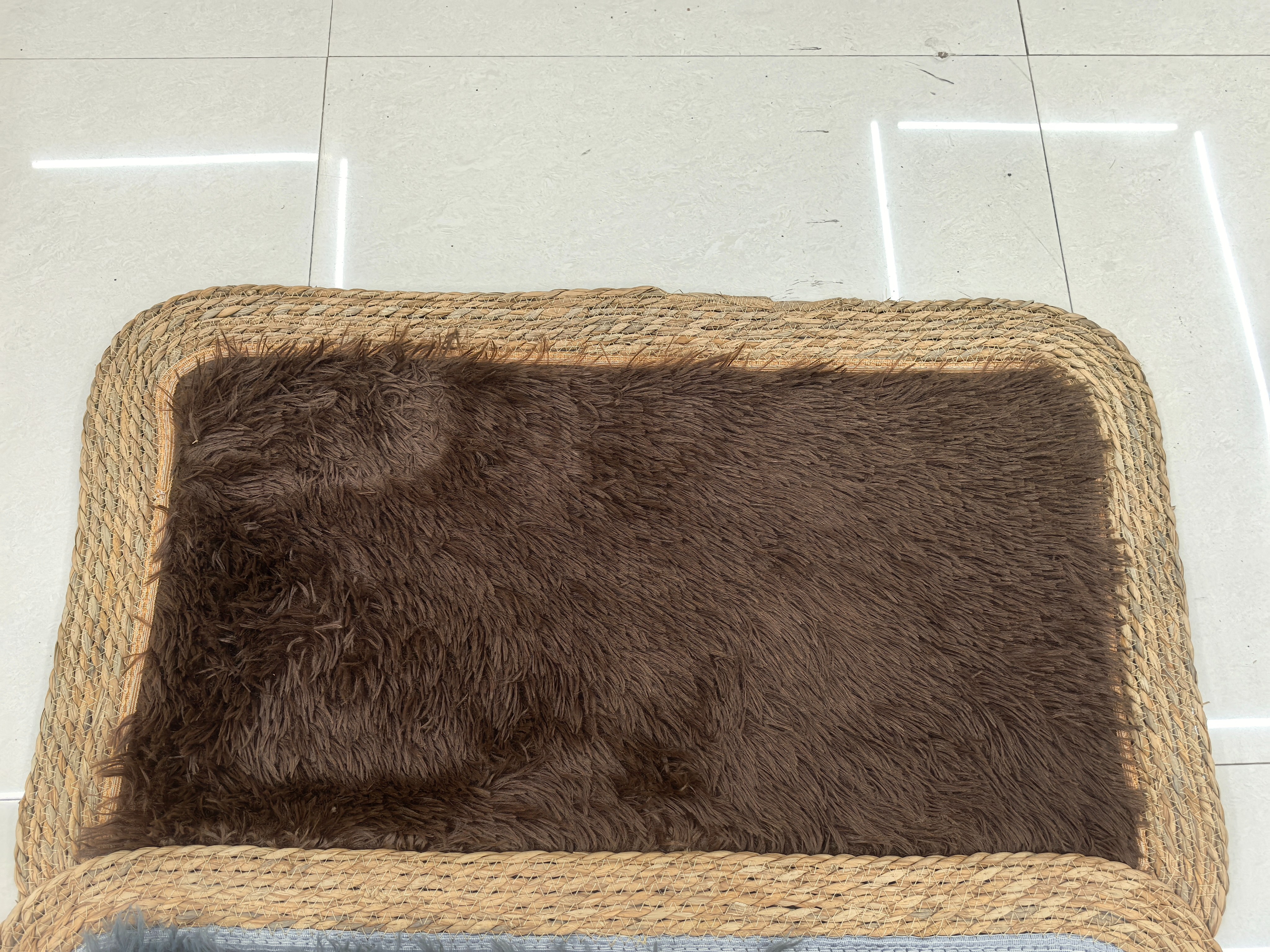 猫猫窝、笼实物图