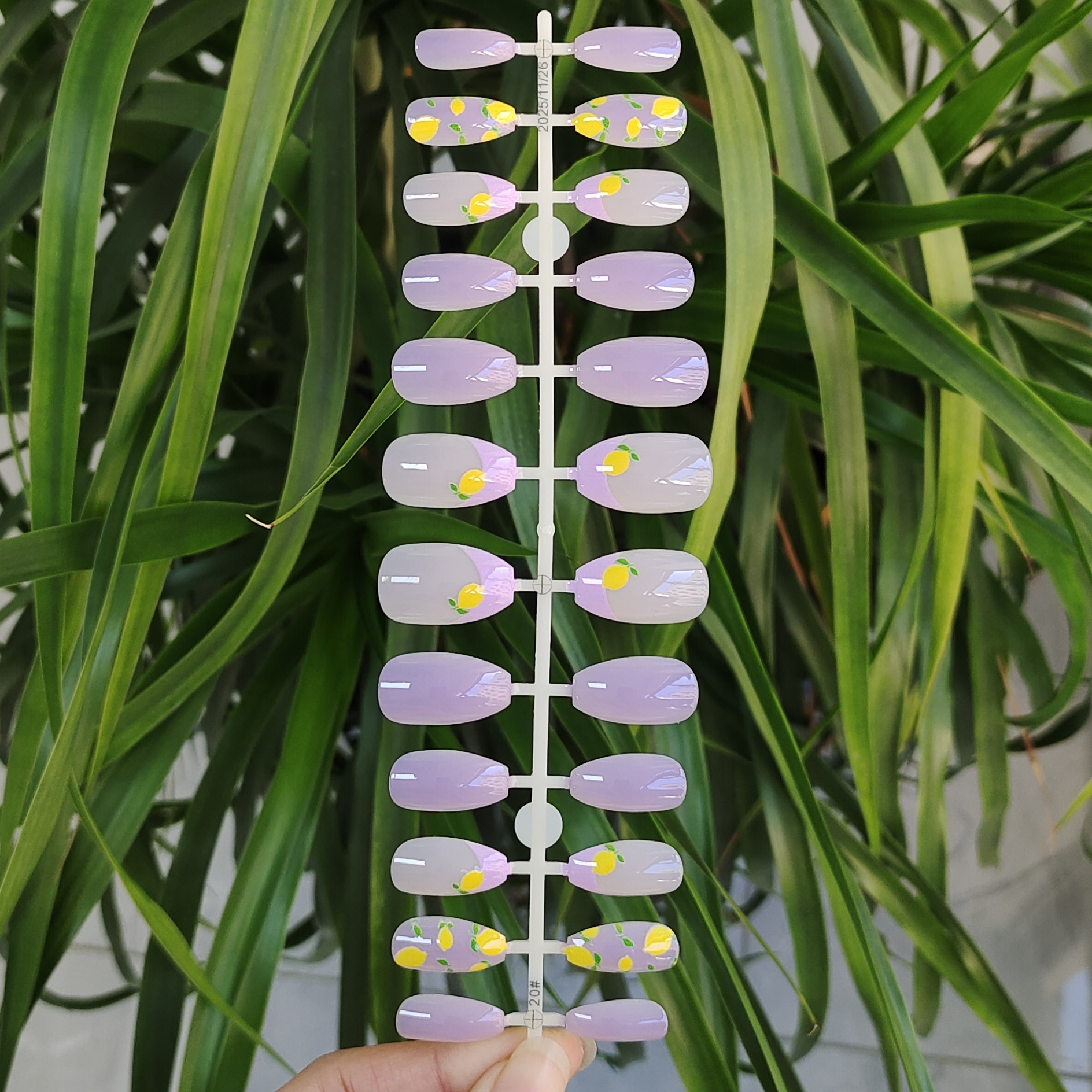 24 PCS PRESS ON NAIL TIPS SHORT COFFIN SHAPE PRINTING CRAFT WITH LEMON PATTERN full figure