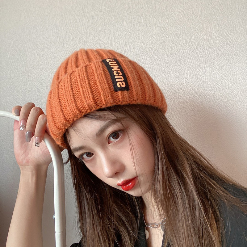 winter hat women's korean-style all-match fashion long label woolen cap winter internet celebrity warm ear protection closed toe knitted hat Application Scenario