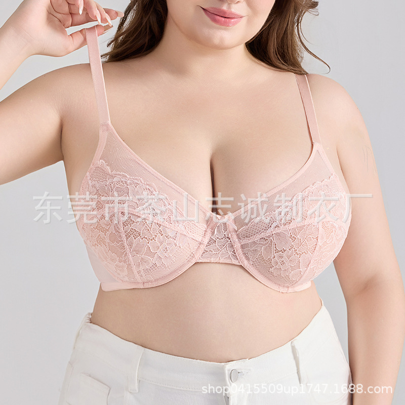 french style sexy lace bra women's amazon cross-border foreign trade plus size underwear ultra-thin mesh push up bra european and american Specification drawing
