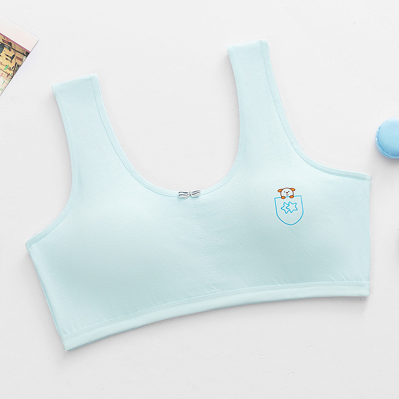 factory direct sales cotton development girl bra girls' underwear female students junior high school girl tube top 10-18 full figure