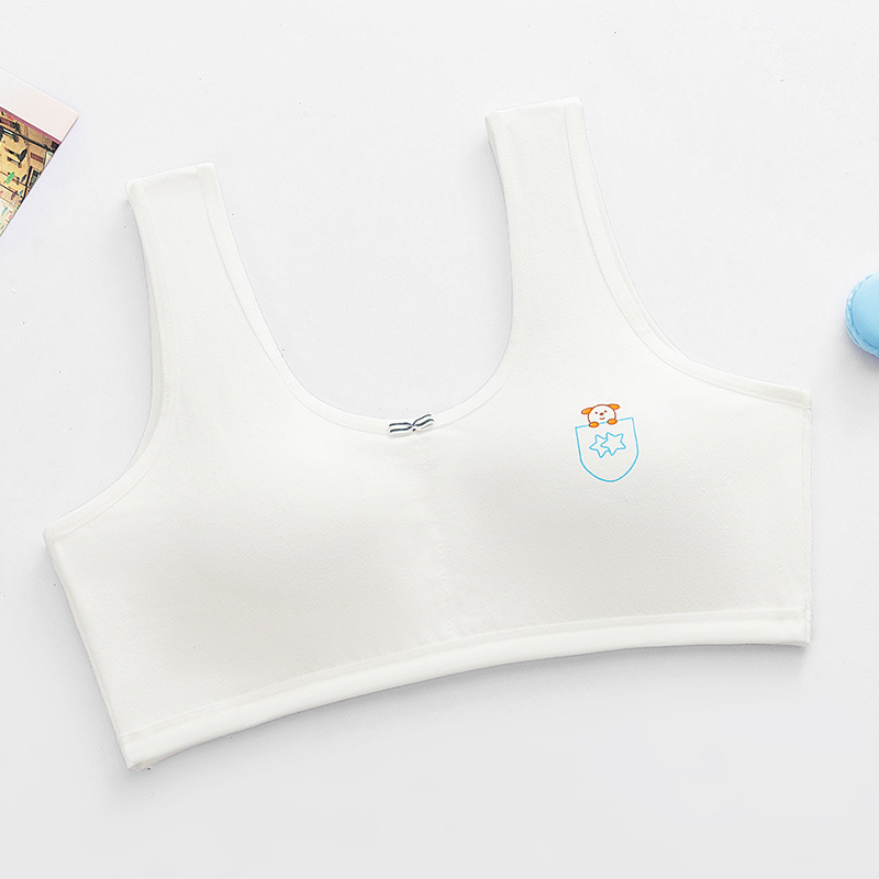 factory direct sales cotton development girl bra girls' underwear female students junior high school girl tube top 10-18 Application Scenario