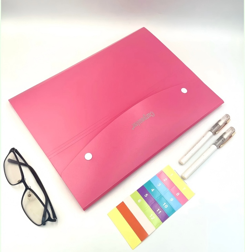Bolsa de documentos A4 portafolio de exámenes de estudiante kit de información paquete de órgano de 8 páginas facturas portafolio de almacenamiento pic 4