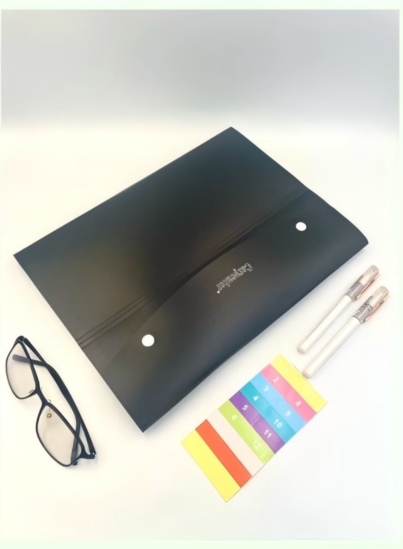 Bolsa de documentos A4 portafolio de exámenes de estudiante kit de información paquete de órgano de 8 páginas facturas portafolio de almacenamiento pic 5