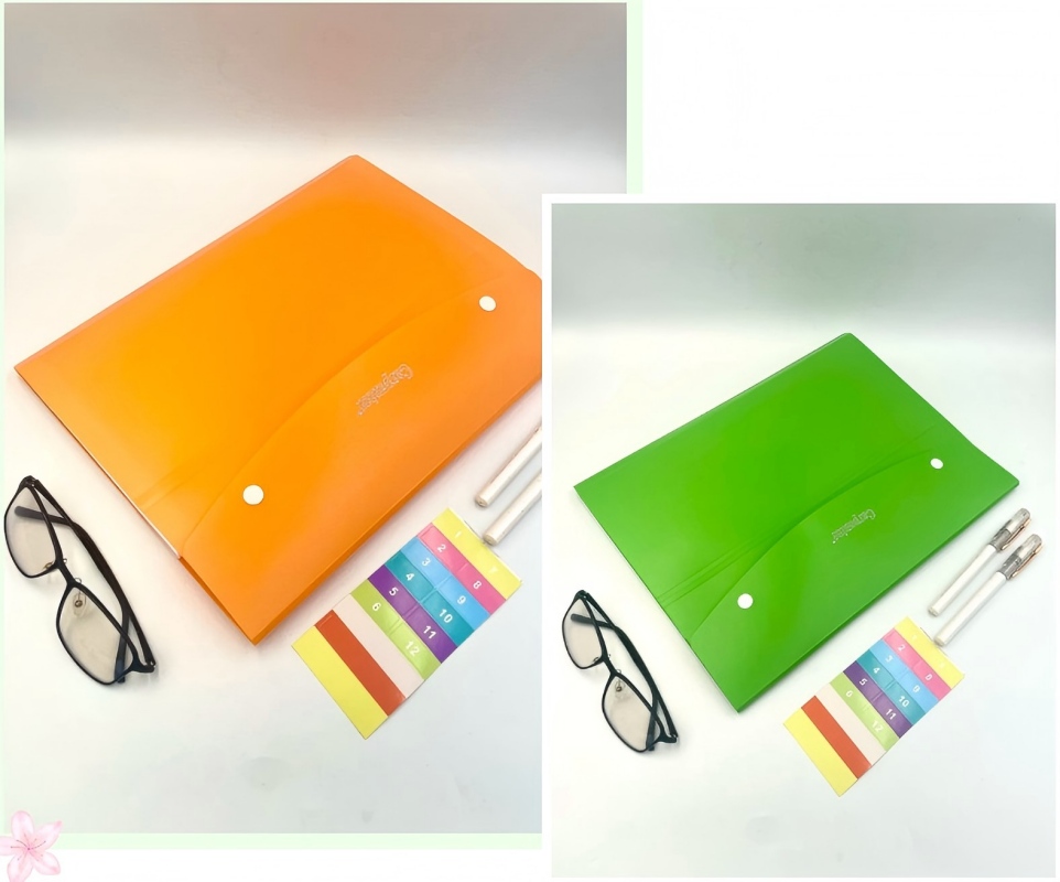 Bolsa de documentos A4 portafolio de exámenes de estudiante kit de información paquete de órgano de 8 páginas facturas portafolio de almacenamiento pic 2