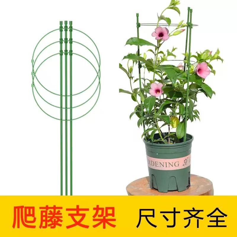 爬藤架植物支撑杆月季花卉攀爬架绿萝爬藤架子细节图