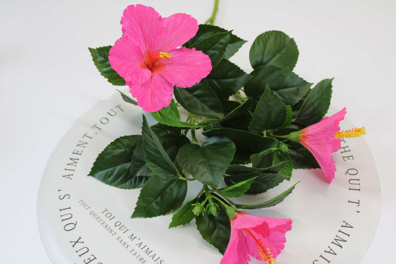 A variety of exquisite and realistic handicrafts and creative gifts are available for selection. Handicrafts and decorative items are excellent choices for giving as gifts