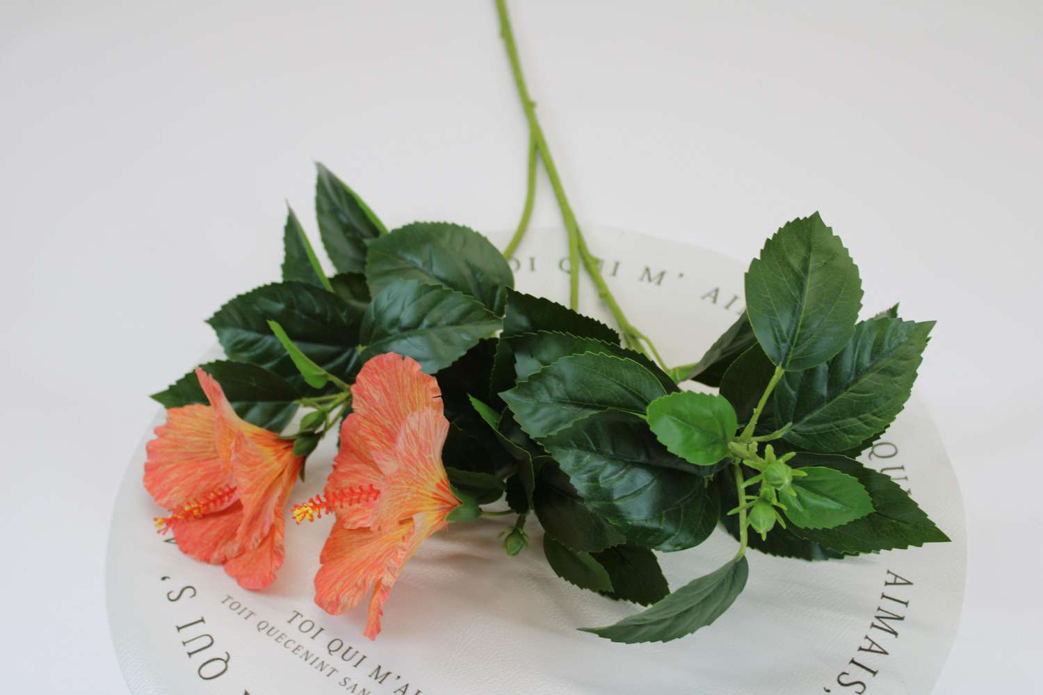 A variety of exquisite and realistic handicrafts and creative gifts are available for selection. Handicrafts and decorative items are excellent choices for giving as gifts details Picture