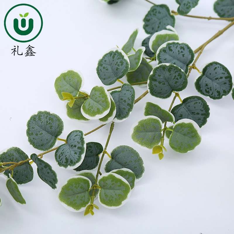 Single eucalyptus simulation craft creative display items, handcrafted decorative gifts, multiple exquisite craft collectibles to choose from detail image 5