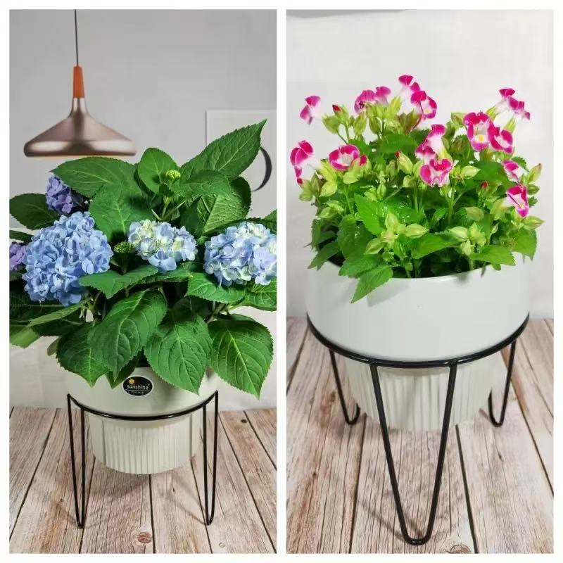 花架置物架/绿萝架子/货架/花篮三脚架产品图