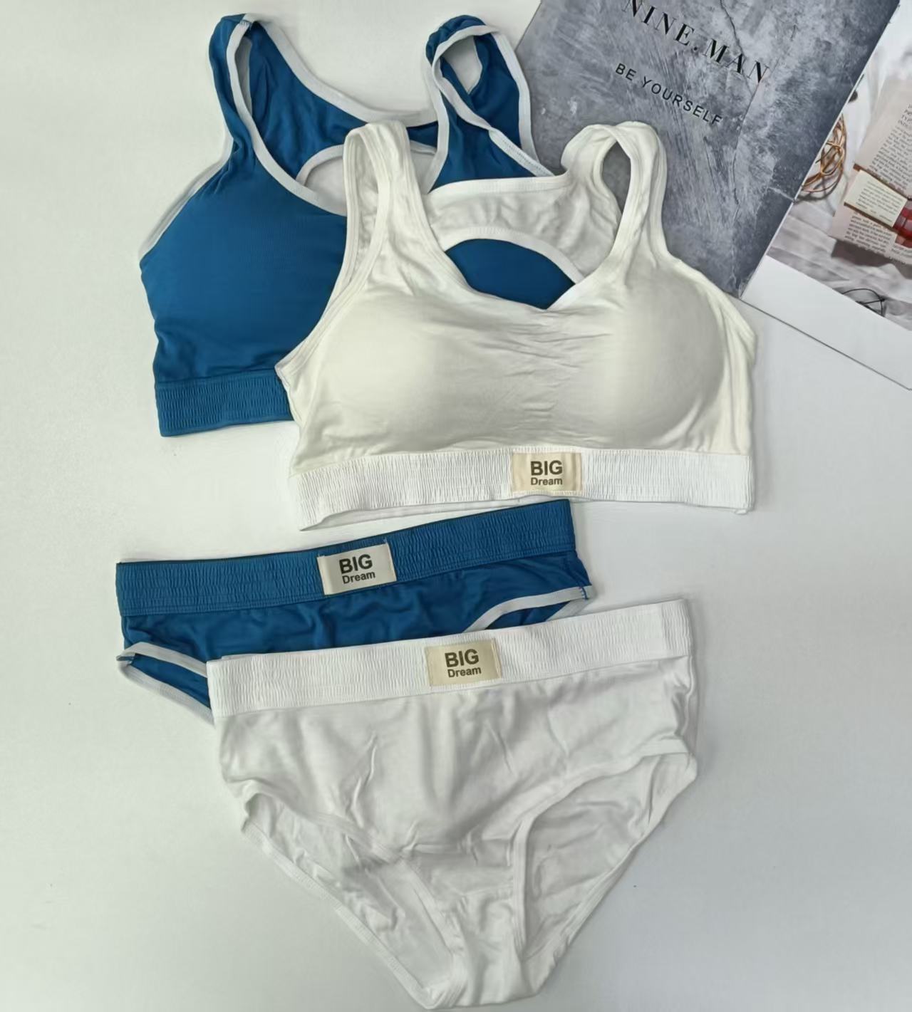 This is a vest lingerie set for export to Europe and America, featuring a bra pad for a sporty and beautiful back. It is also a bra and lingerie set with individual packaging, which is comfortable and breathable Application Scenario