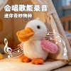 The new electric bird can repeat singing and learning to speak. The new electronic pet has emotions and can get angry. Plush pendant details Picture