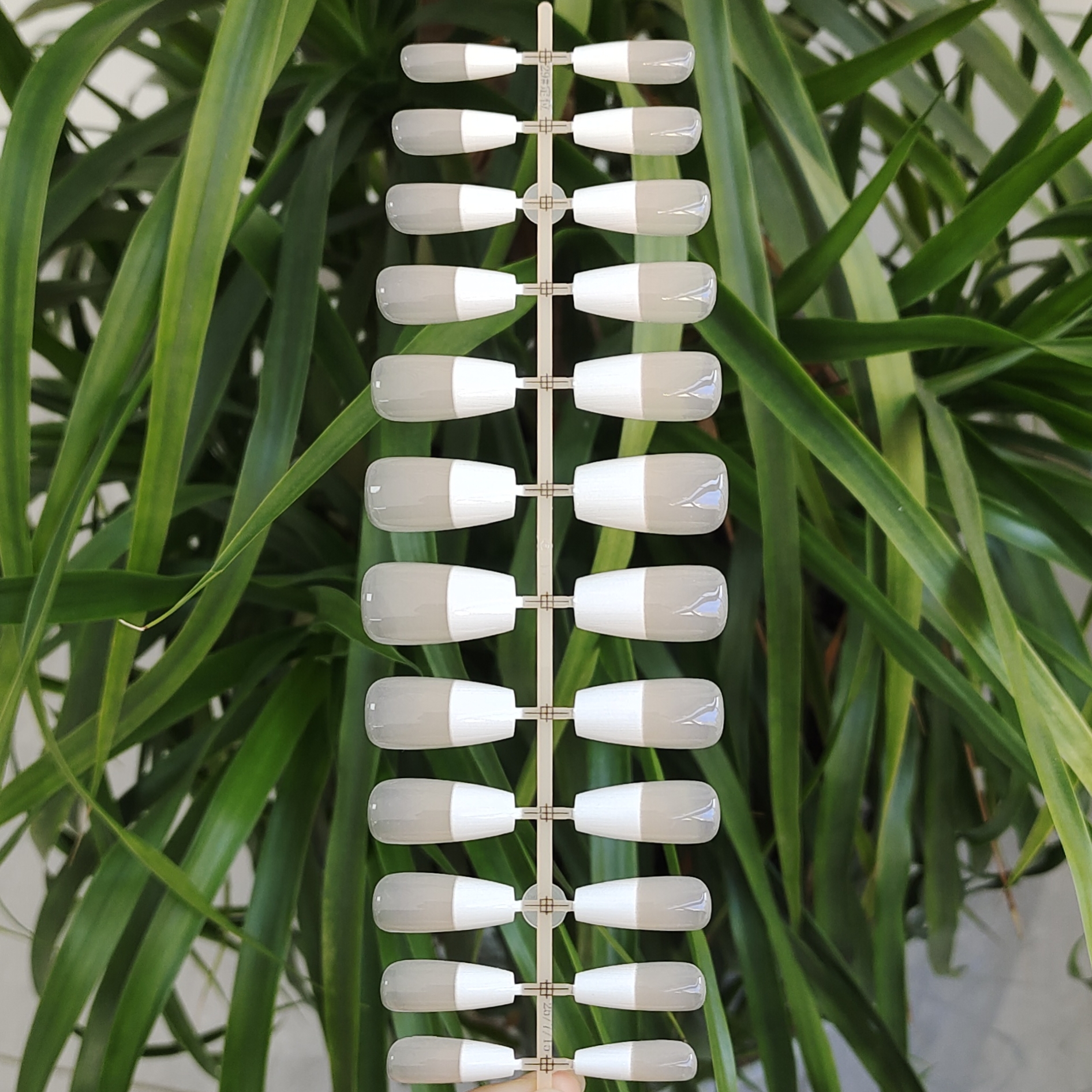 24 PCS PRESS ON NAIL TIPS MEDIUM COFFIN SHAPE PRINTING CRAFT WITH WHITE FRENCH STYLE full figure