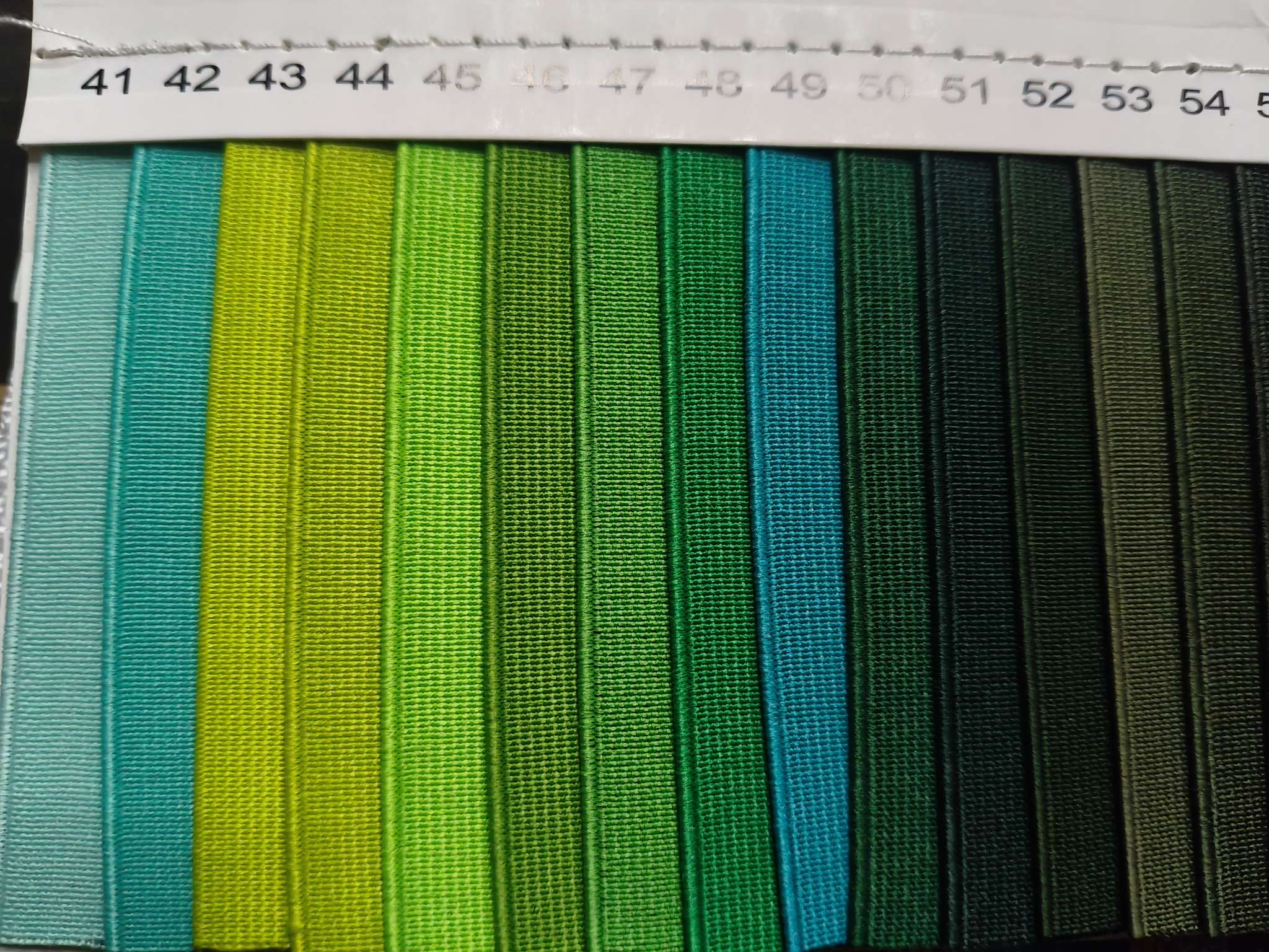 纺织辅料彩色松紧带玉米纹弹力带皮革服装配件松紧带织带详情图5