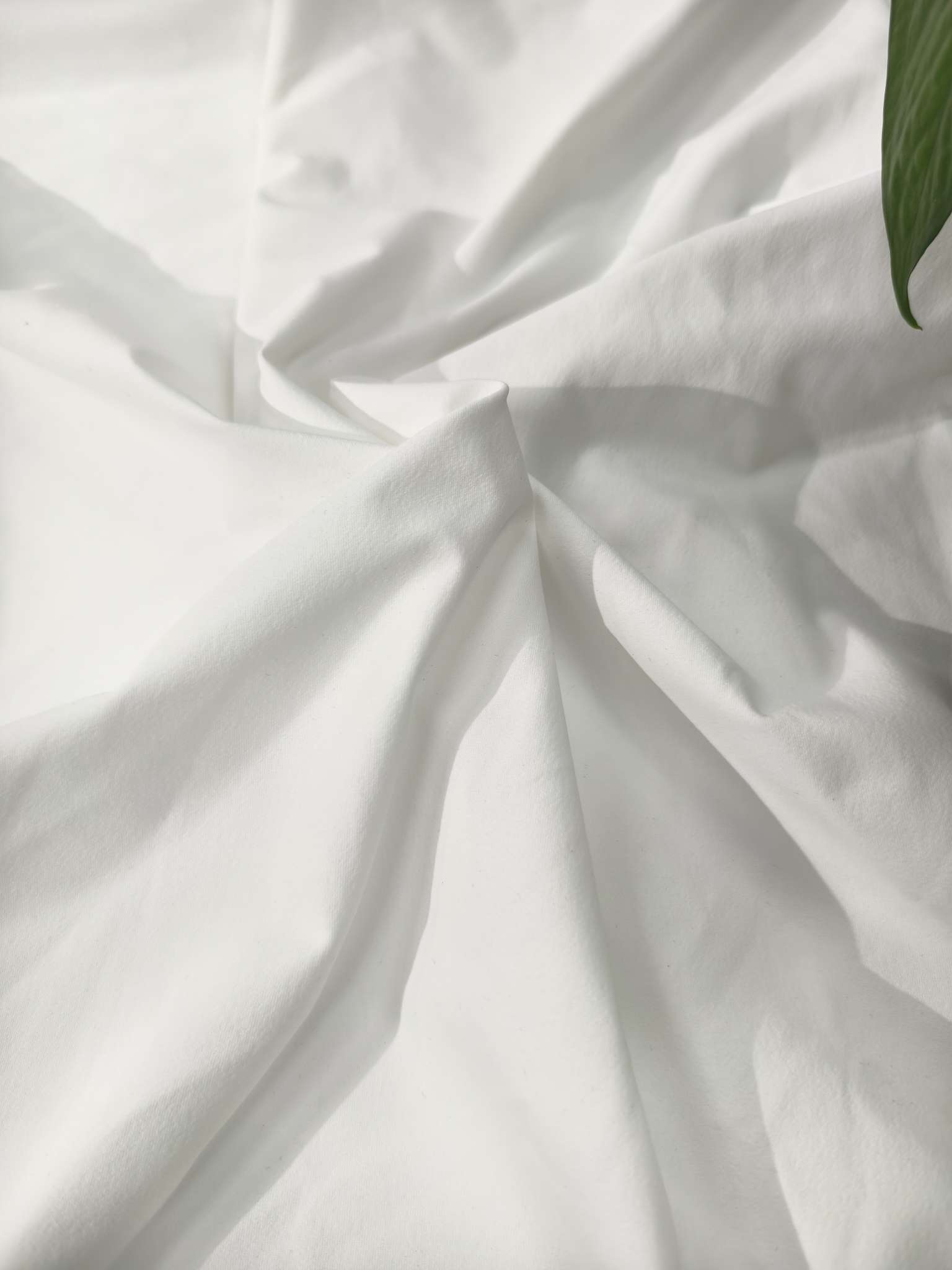 锦氨  86%锦纶  14%氨纶  运动户外瑜伽健身服女性紧身裤运动裤女款运动服装泳装