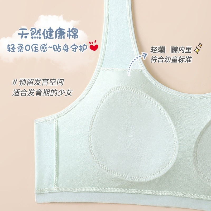 少女内衣/文胸/内衣紫色/女内衣/王贞雄白底实物图