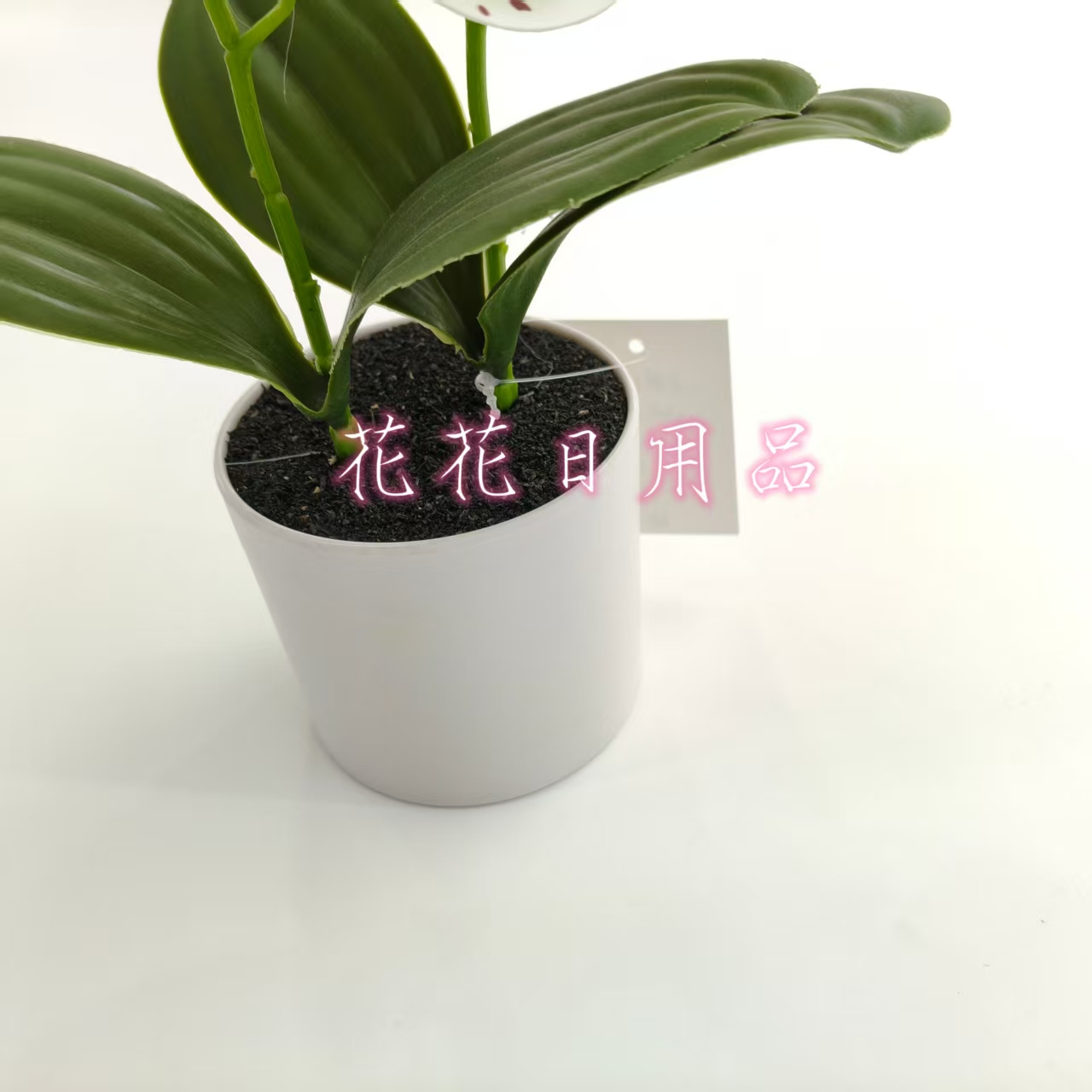 微缩模型/蝴蝶插杆/椰蛋树/多肉/韩版勾线花饰白底实物图