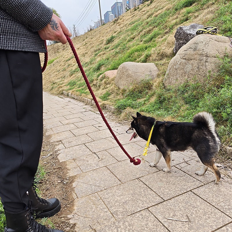 高级舒适训练绳 150*1.3CM户外步行遛狗绳 时尚宠物牵引绳 耐用舒适16种颜色可选择