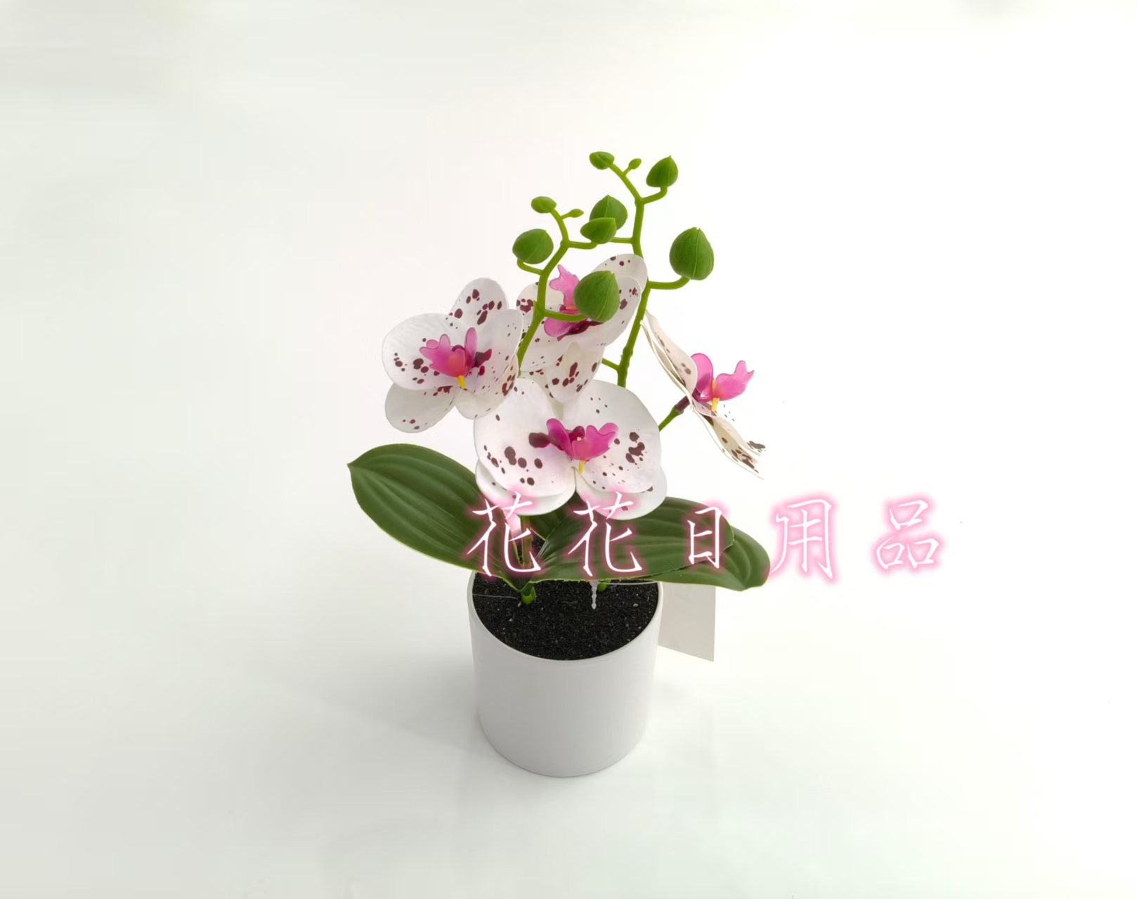 微缩模型/蝴蝶插杆/椰蛋树/多肉/韩版勾线花饰细节图