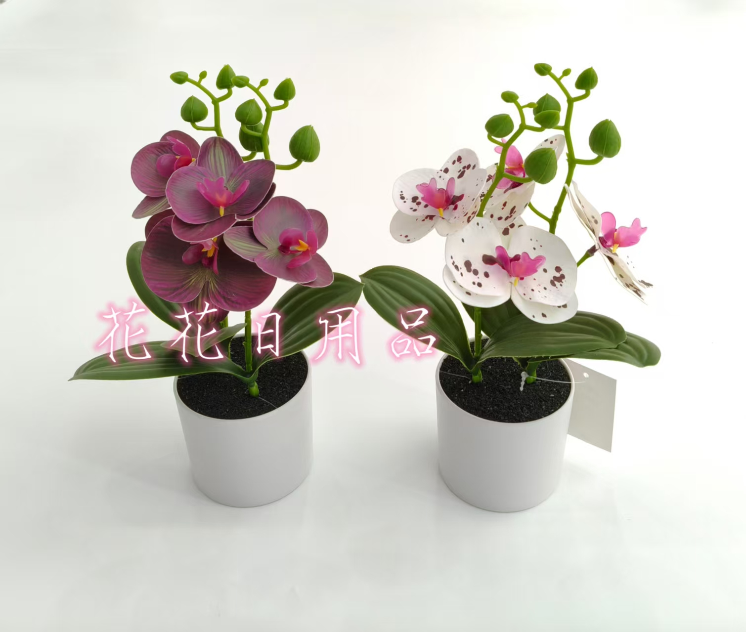 仿真花假花盆景塑料盆蝴蝶兰摆件装饰品