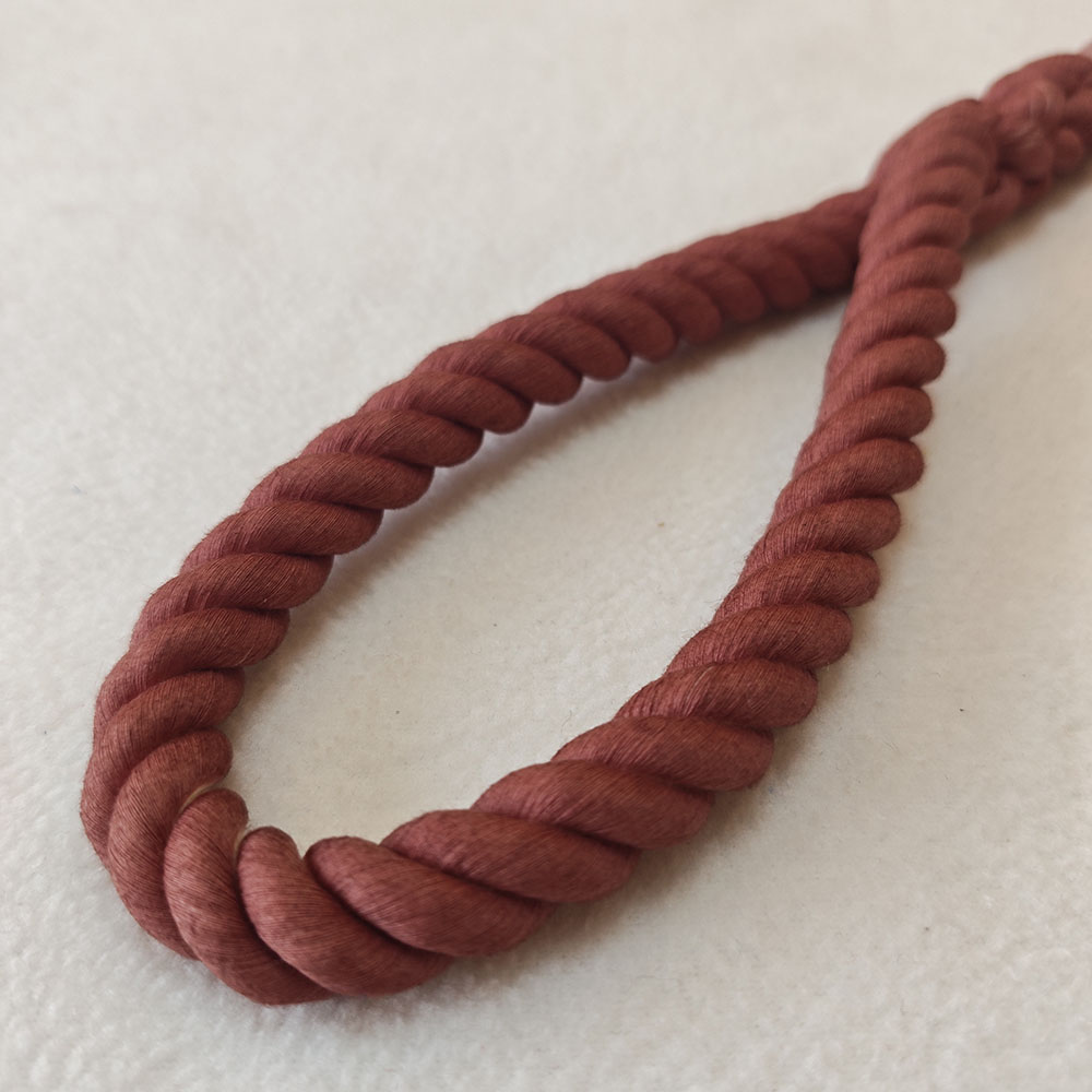 跨境货源厂家现货150*1.3CM三股绳编织牵引带宠物用品狗链狗绳详情3