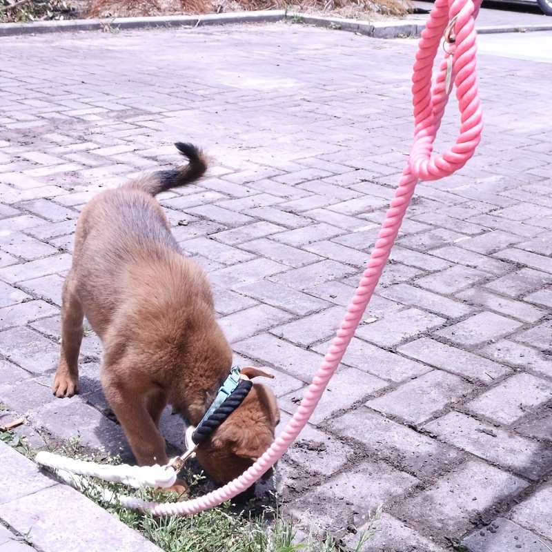 FOUND BUDDY 手工制作段染编织狗狗训练牵引绳8种颜色可选详情3