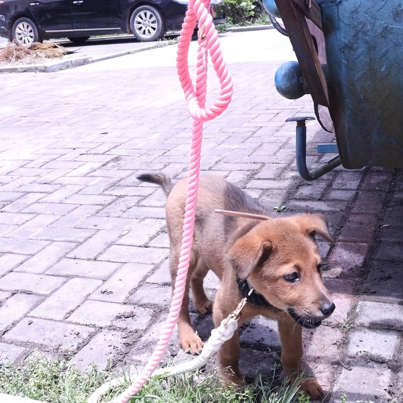 Handmade segment dyed woven dog training leash available in 8 colors Item Picture