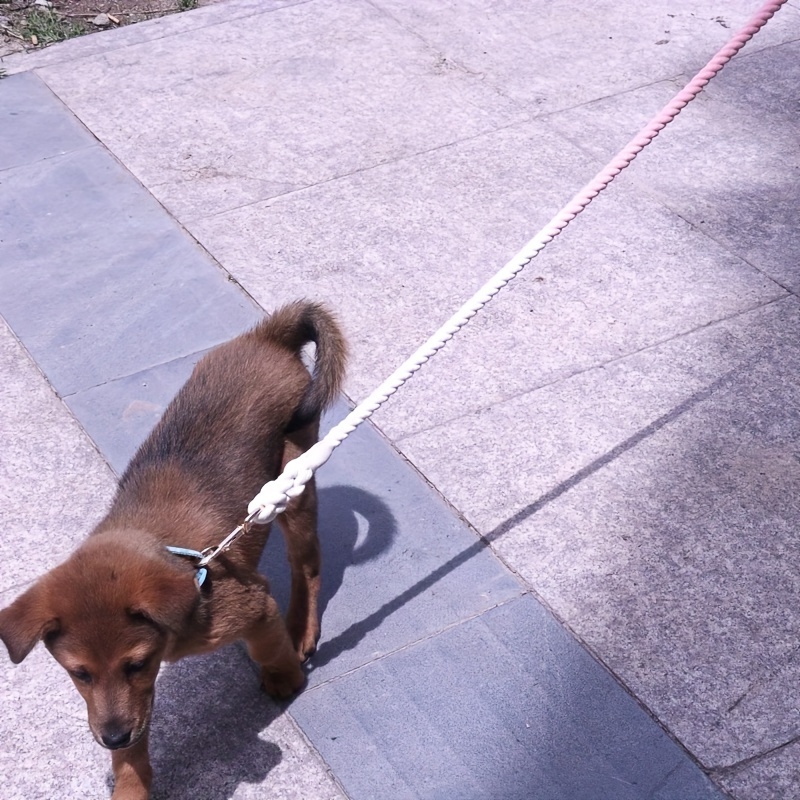 Handmade segment dyed woven dog training leash available in 8 colors Specification drawing