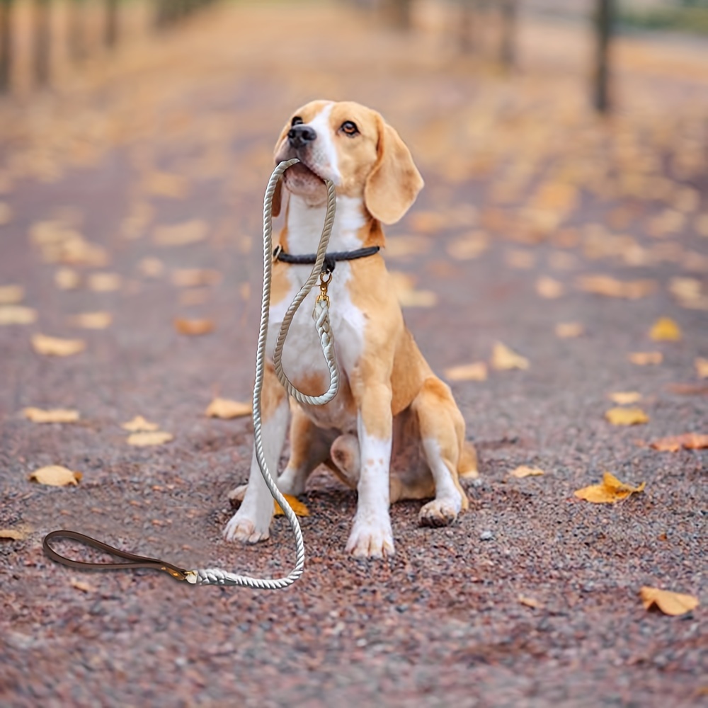 跨境长150厘米宽12毫米带皮把手彩色白色三股圆绳宠物绳牵狗绳可定制牵引绳狗绳