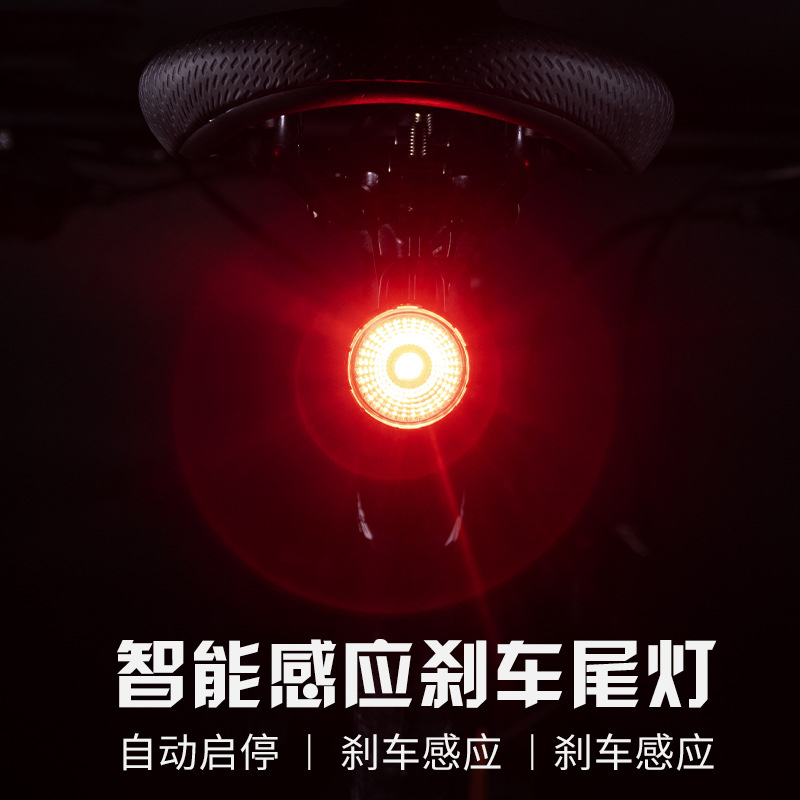 0126# Smart Brake Taillight Dual-bracket bicycle Smart brake taillight Vibration Sensing Night Riding Mountain bike Warning Taillight details Picture