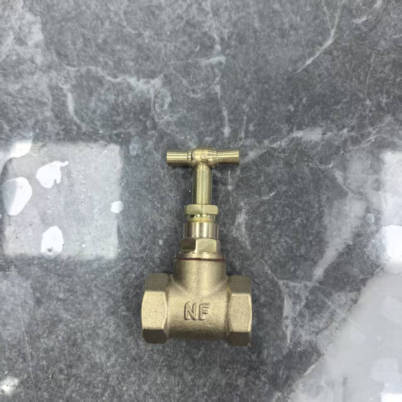 RR-TJ1239全铜阀门