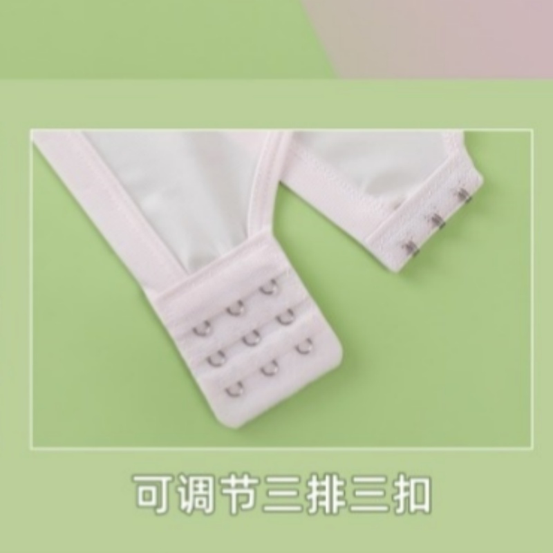 少女内衣/文胸/16岁女生内衣/内衣紫色/王贞雄白底实物图