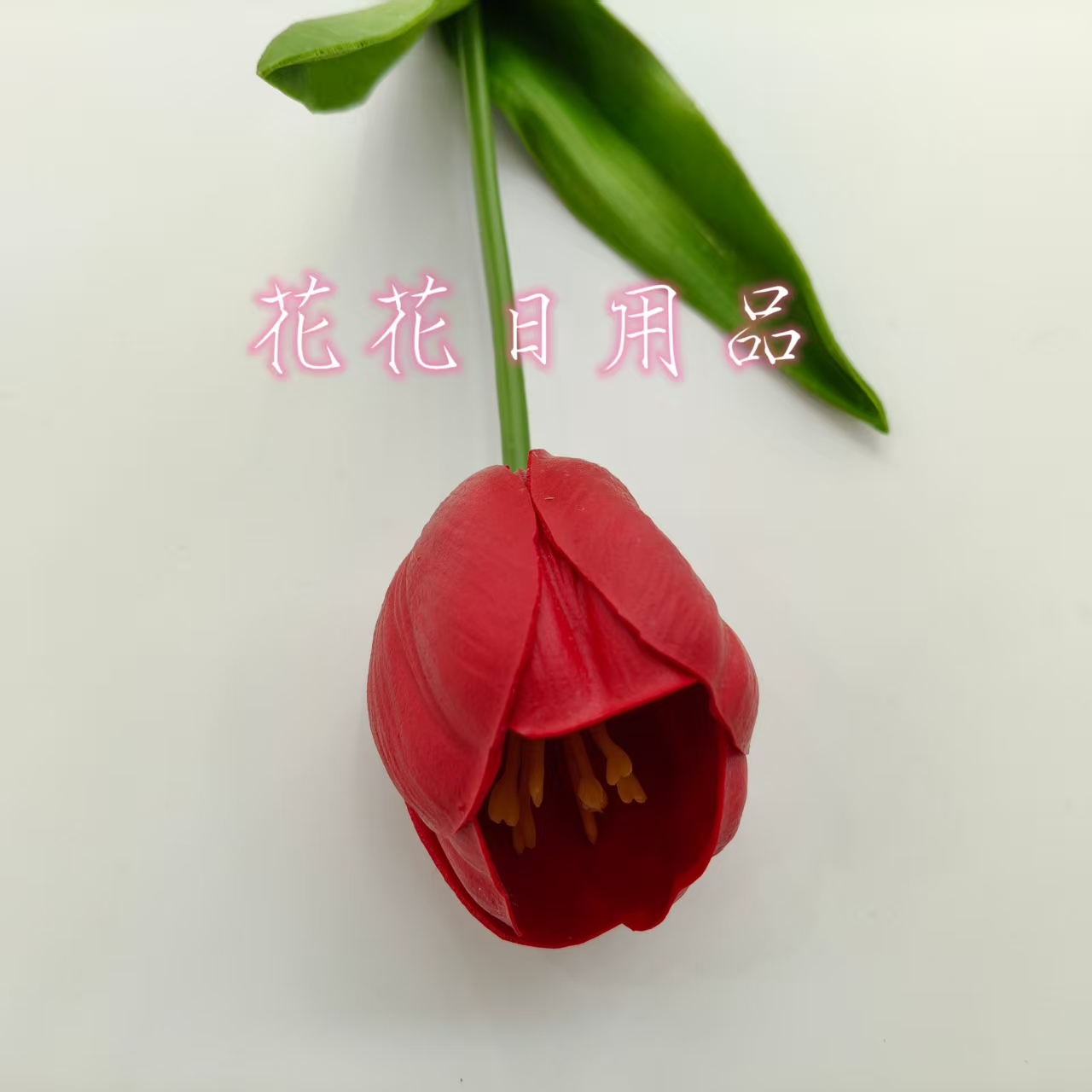 微缩模型/椰蛋树/永生青苔/韩版勾线花饰/仿真绿植藤条白底实物图