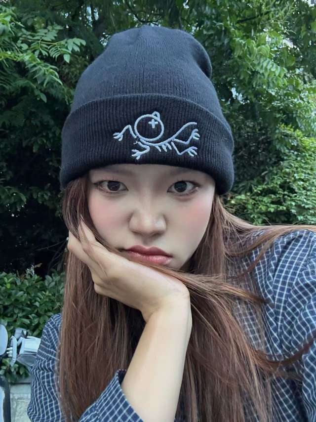 Embroidered knitted hats for women, autumn and winter woolen hats, outdoor warm cold hats, acrylic embroidered knitted hats, adult winter hats Specification image