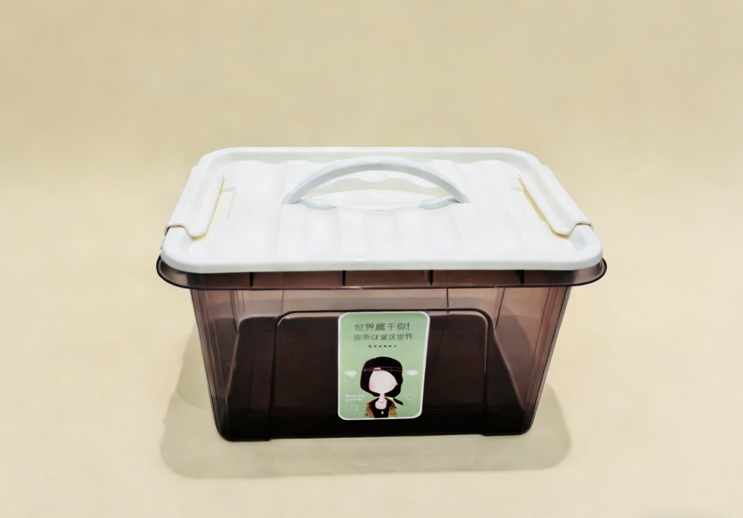 High-appearance-level transparent storage box with handle sealing dust-proof organization box, multi-functional storage box for living room and bedroom with stickers wholesale Application Scenario