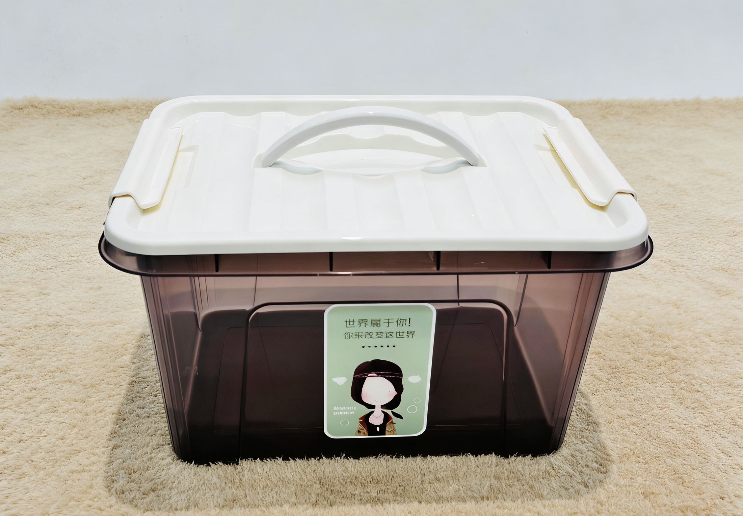 High-appearance-level transparent storage box with handle sealing dust-proof organization box, multi-functional storage box for living room and bedroom with stickers wholesale