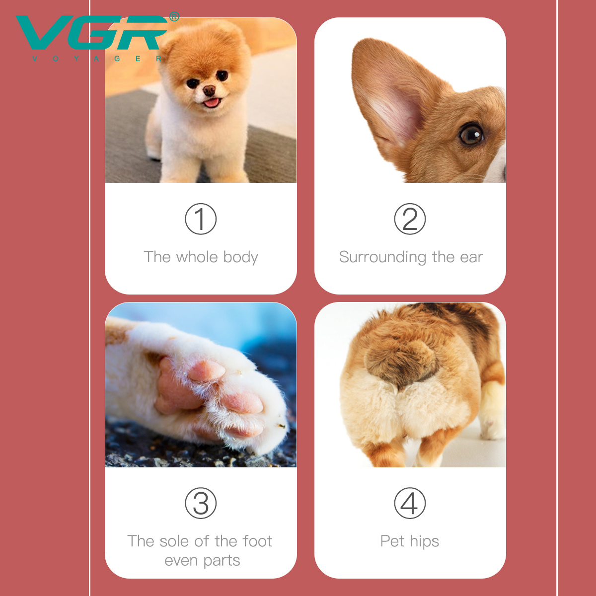 V-202 Pet Hair Clipper, Pet hair remover, dog electric clipper, pet hair trimmer Application Scenario