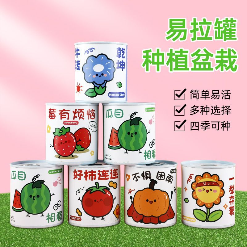 Kindergarten children grow small potted plants. Students grow mini fruits. Small potted plants. Blind boxes. Green plants on the desks in the office details Picture