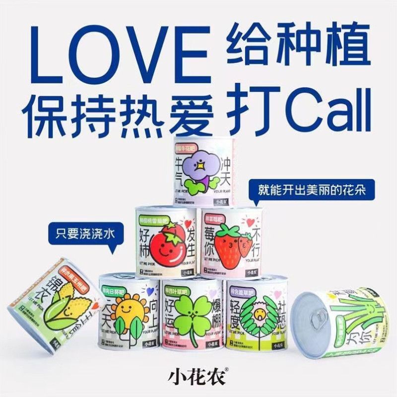 Kindergarten children grow small potted plants. Students grow mini fruits. Small potted plants. Blind boxes. Green plants on the desks in the office Application Scenario