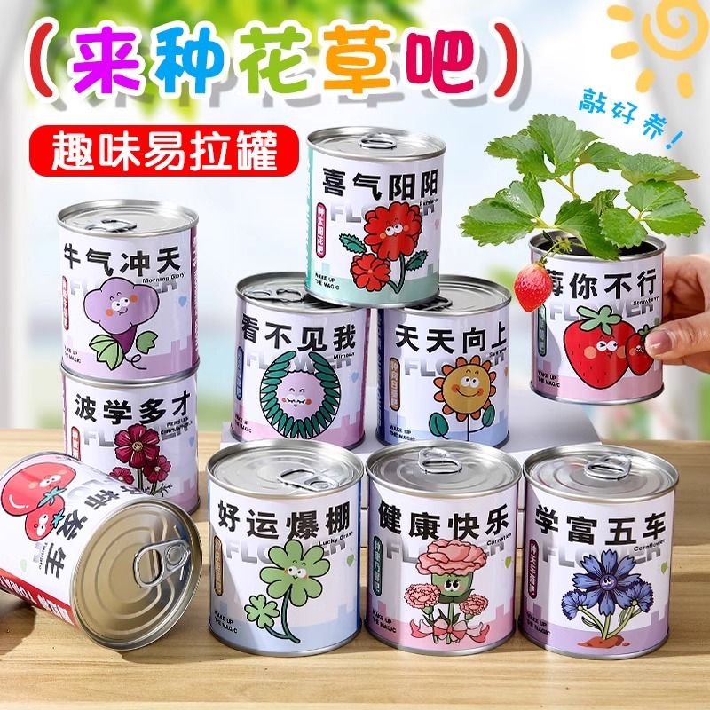 幼儿园儿童种植小盆栽学生迷你水果小盆栽盲盒办公室内桌面绿植物