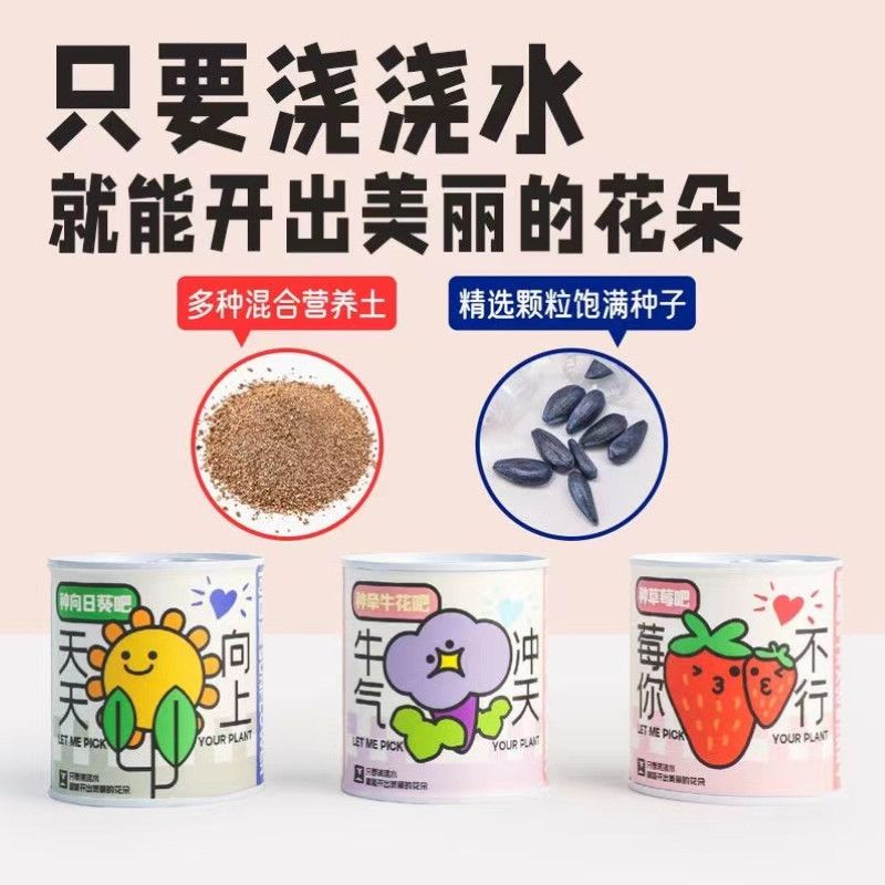 Kindergarten children grow small potted plants. Students grow mini fruits. Small potted plants. Blind boxes. Green plants on the desks in the office Specification image