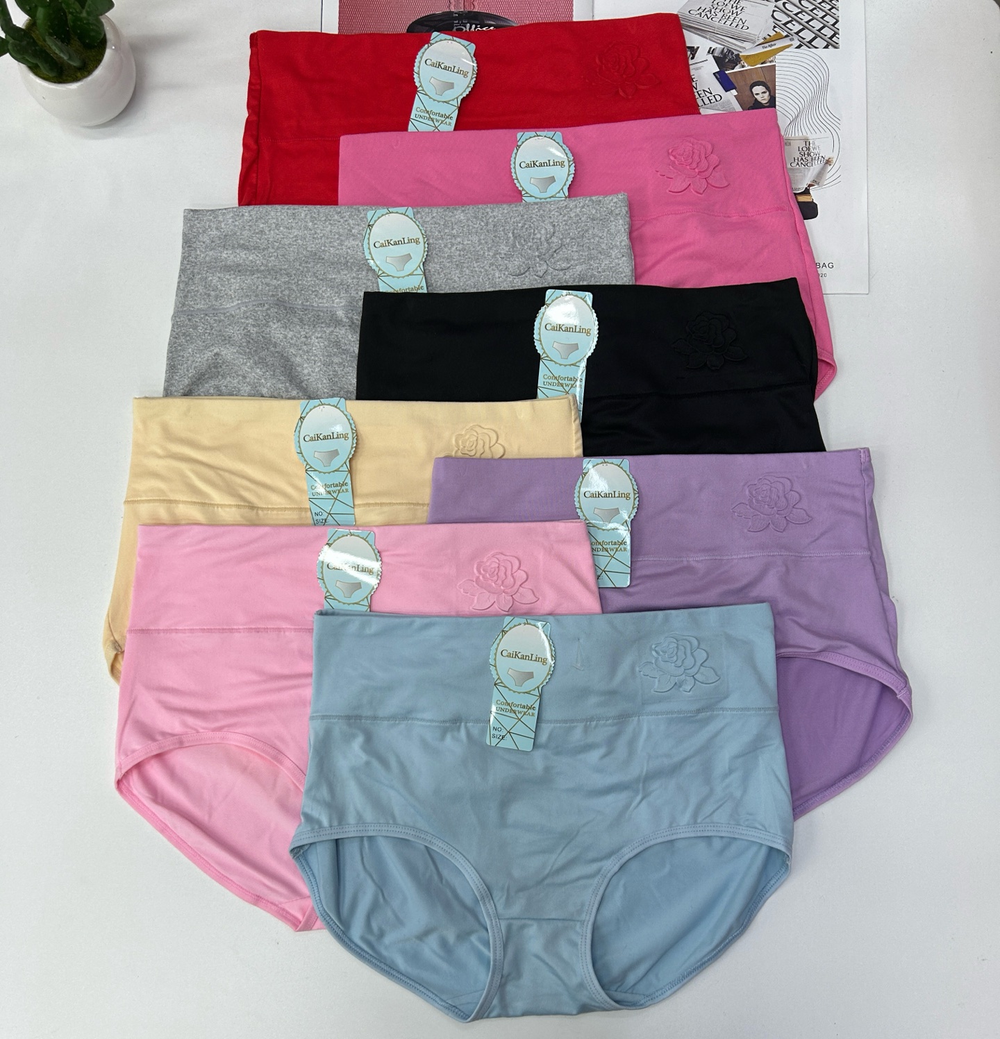 102 Export to the Middle East and Africa, all sizes in stock of women's underwear, sexy and comfortable mid-waist hip-lifting underwear, women's QNI Item Picture