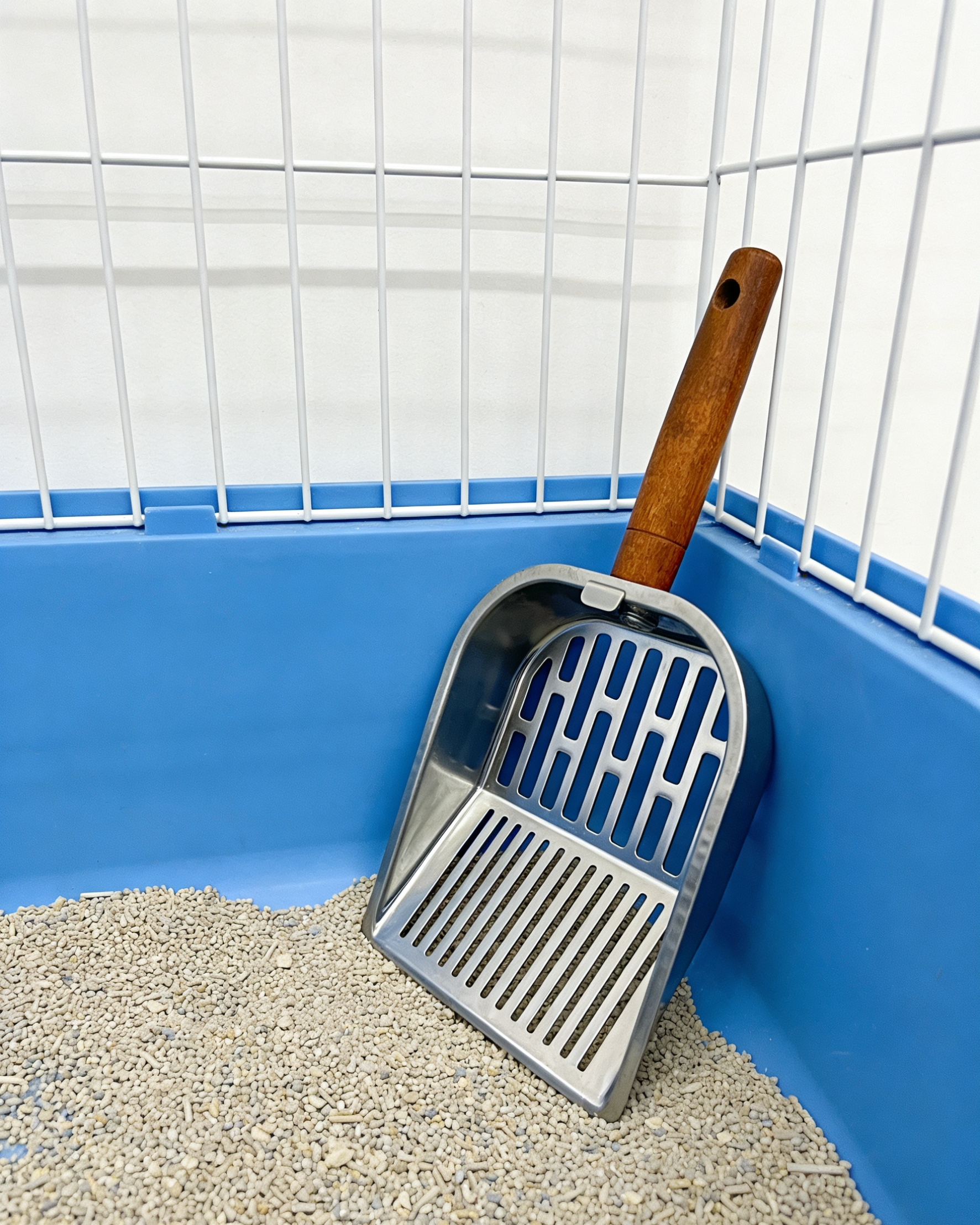 猫砂铲实物图