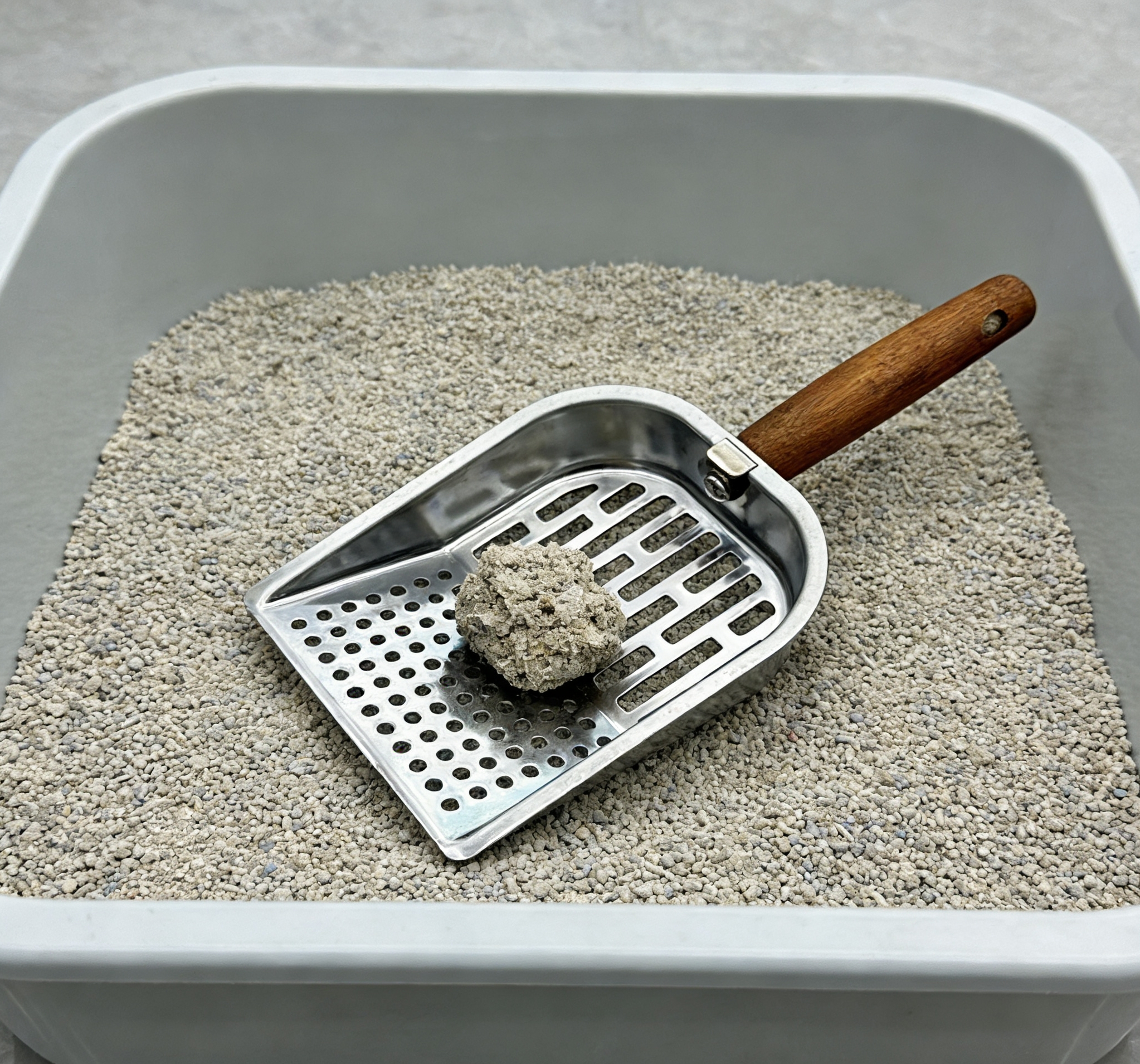 猫砂/宠物服饰白底实物图