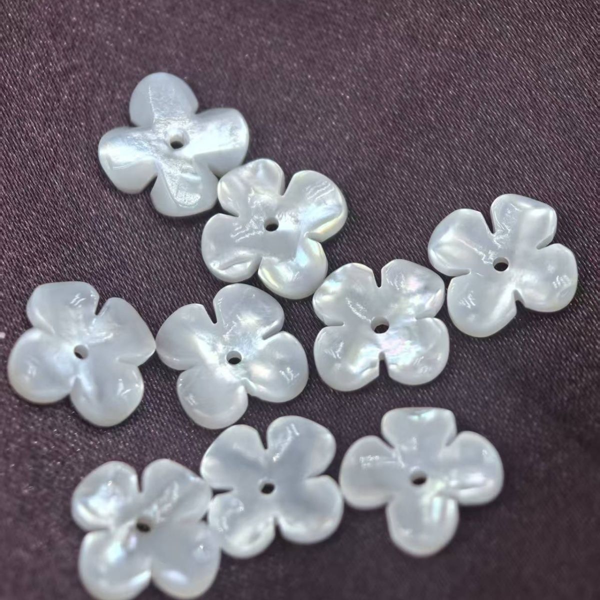 天然贝壳深海贝母10mm白蝶贝蝶中孔贝壳花