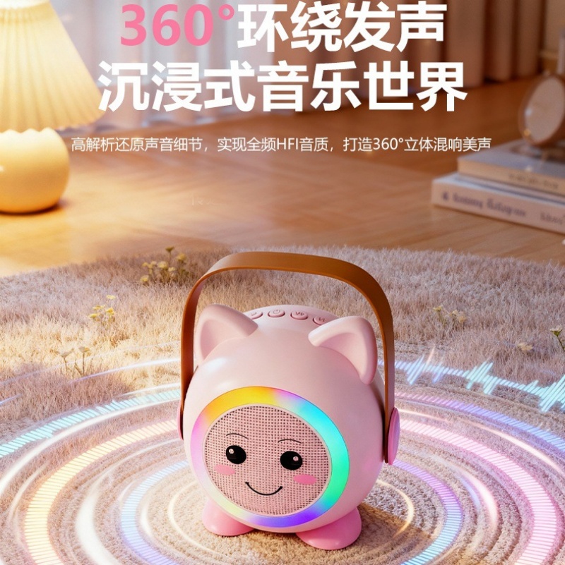 Wireless Bluetooth speaker, outdoor KTV audio system, home KTV wireless handheld dual-microphone mini audio system, small speaker details Picture
