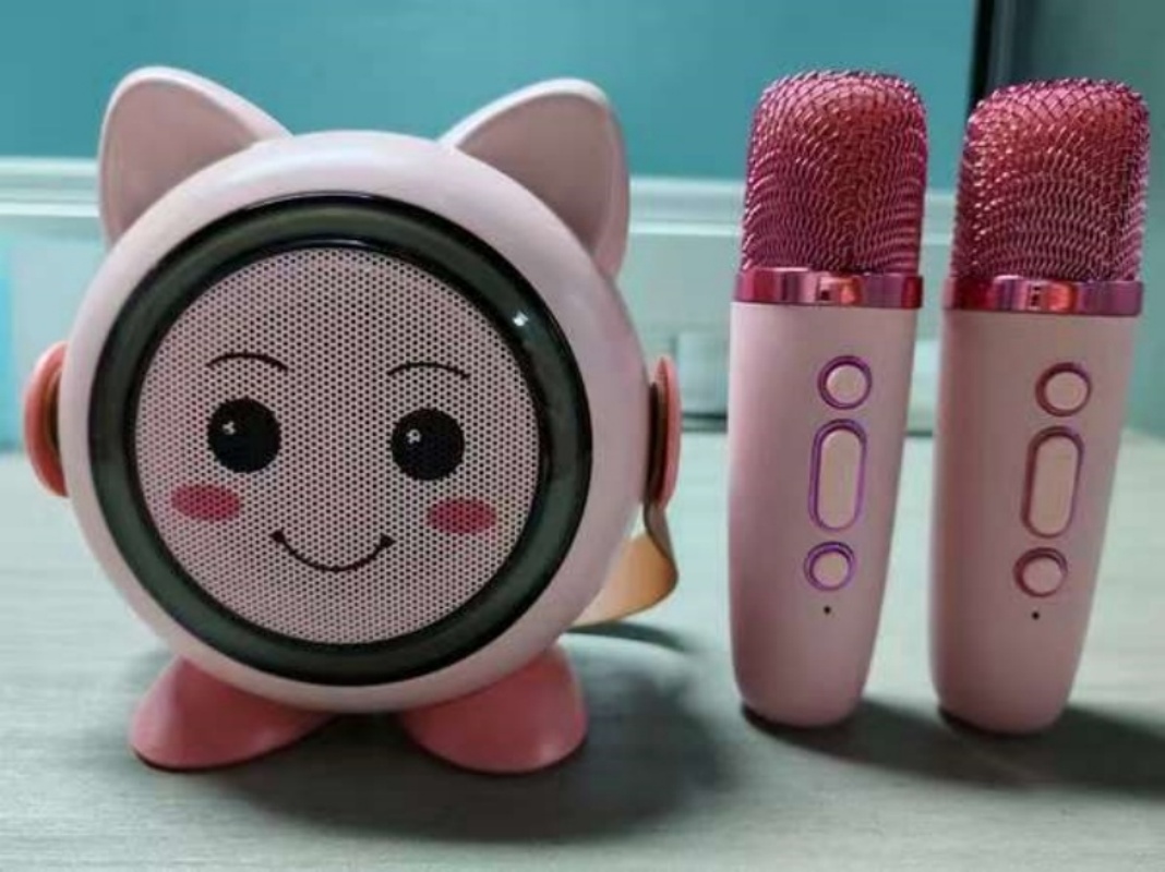 Wireless Bluetooth speaker, outdoor KTV audio system, home KTV wireless handheld dual-microphone mini audio system, small speaker pic 10