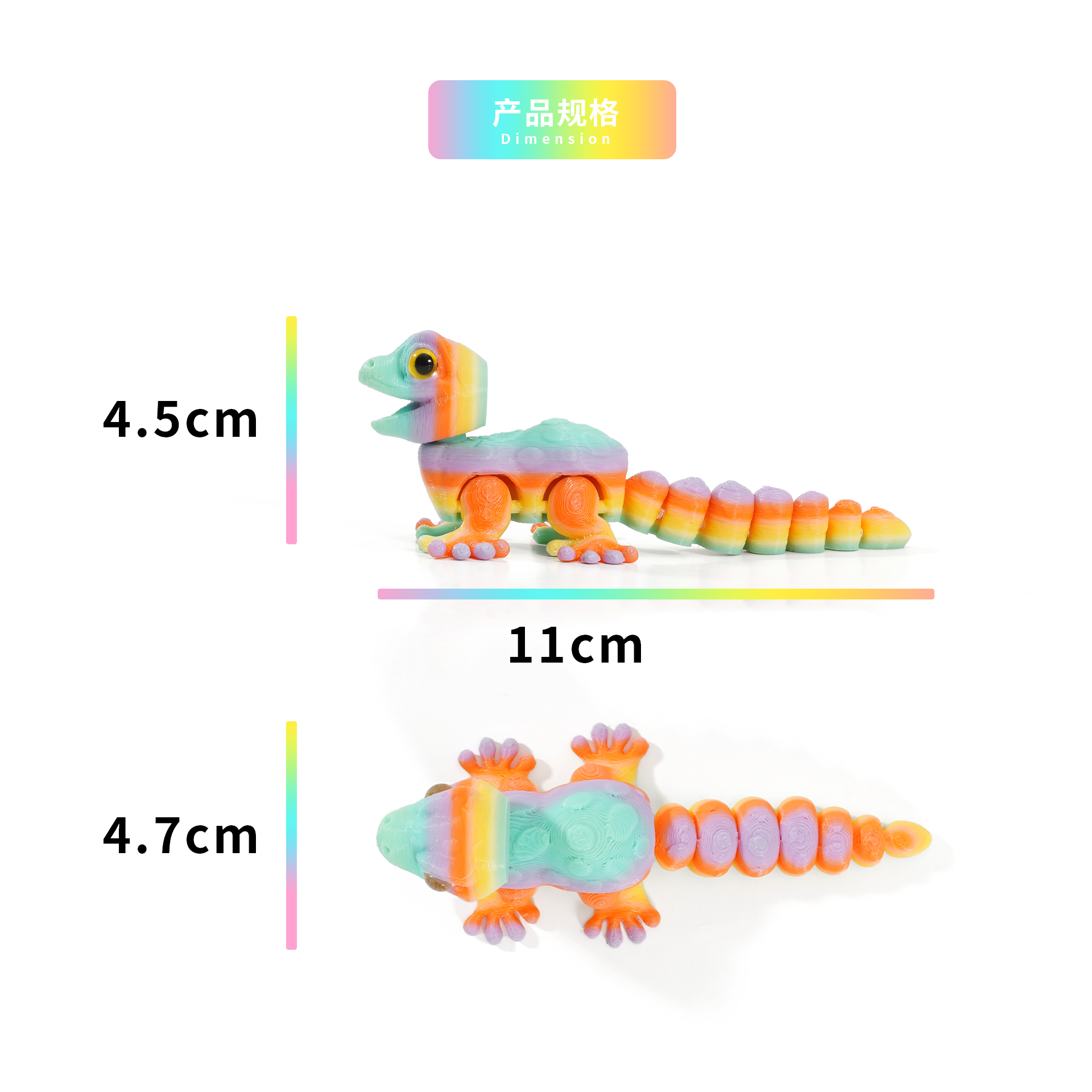 动植物/仿真模型实物图