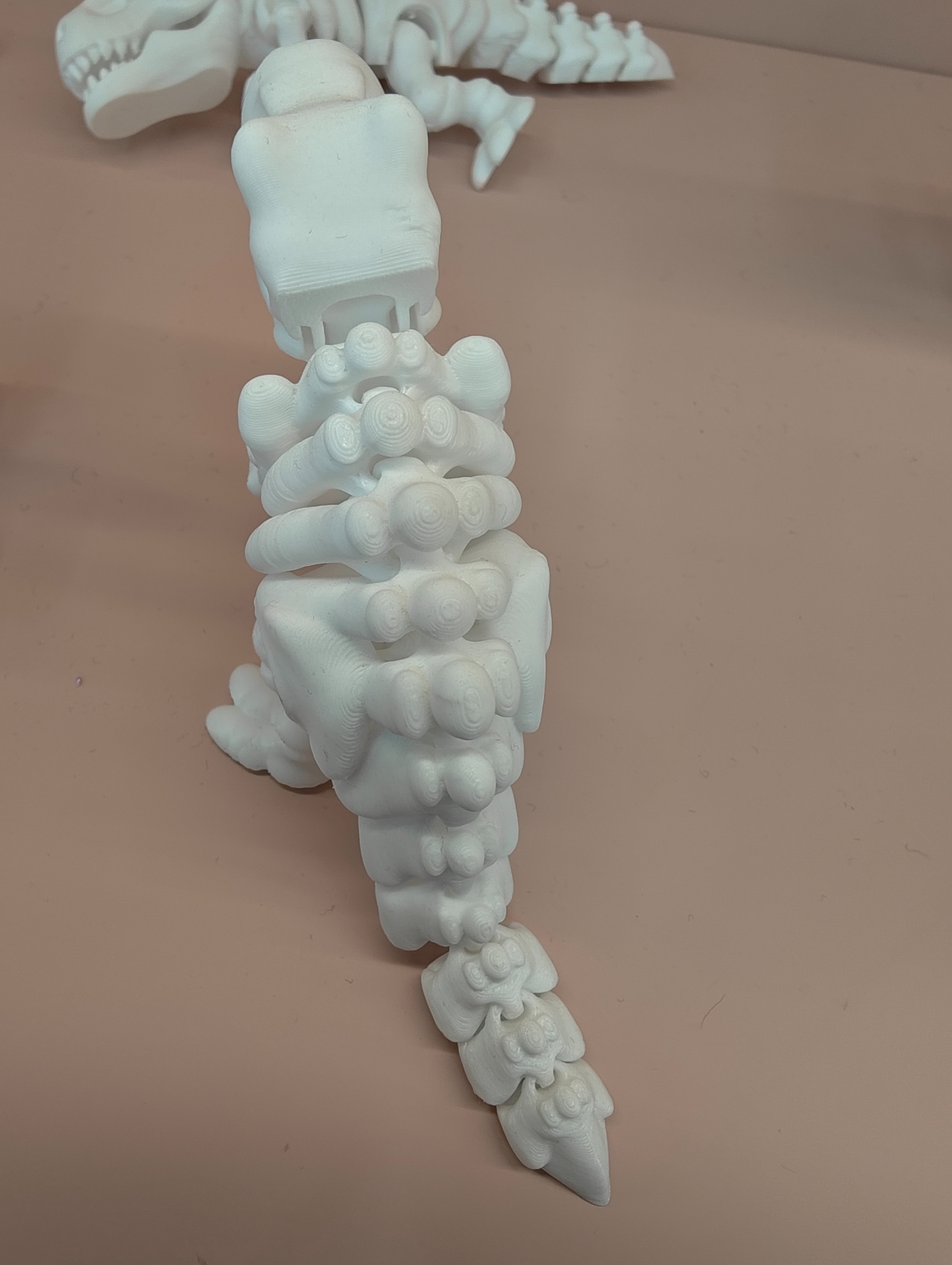 白色骨架模型3D打印恐龙骨架膨胀玩具儿童玩具恐龙玩具小朋友腕带趣味互动