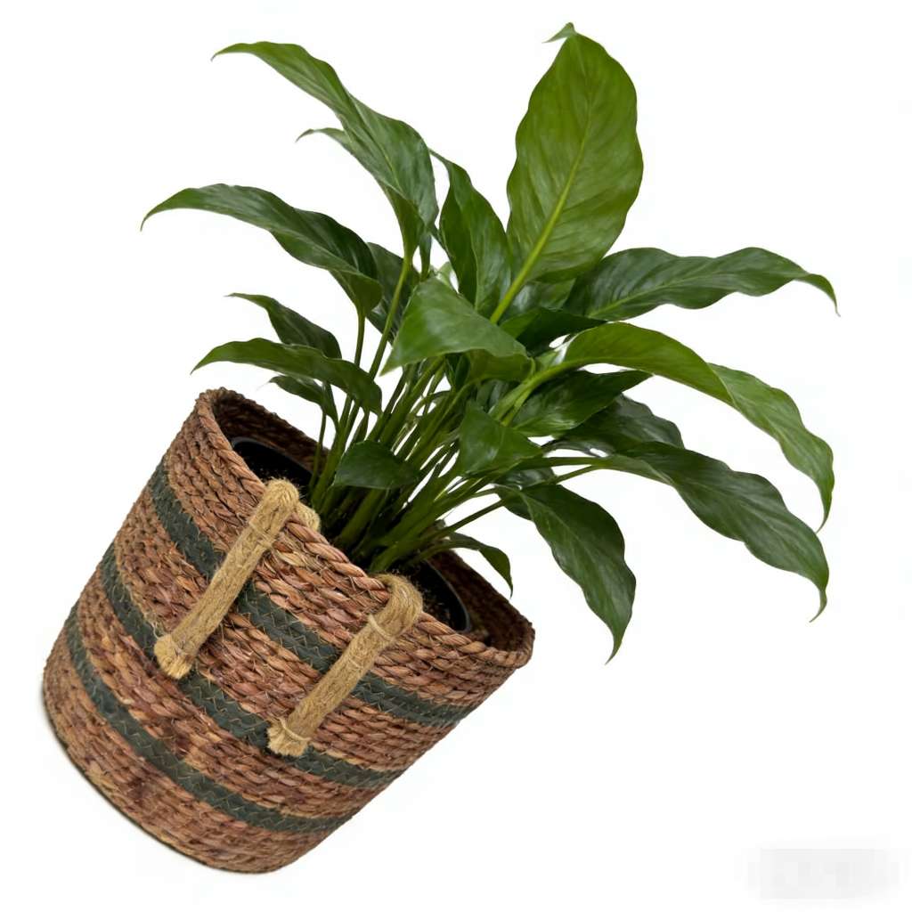 多功能家用收纳篮筐收纳筐防尘整理篮日用百货收纳用品家用收纳收纳收纳筐产品图